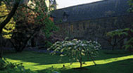 Merton College: garden